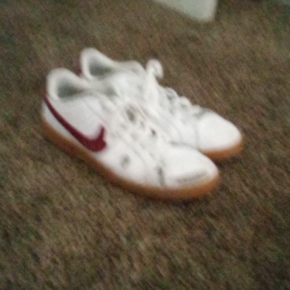 Nike lowtop shoes